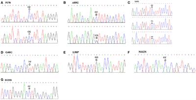 Two Novel Rare Strongly Linked Missense SNPs (P27R and A85G) Within the GDF9 Gene Were Significantly Associated With Litter Size in Shaanbei White Cashmere (SBWC) Goats